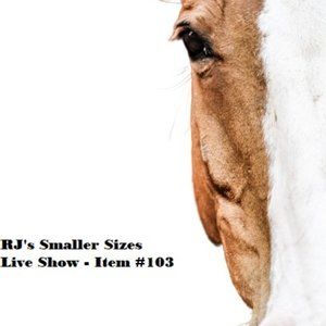 103 - Ann Taylor LOFT 3/4 Sleeve Lace Top Size S Cream